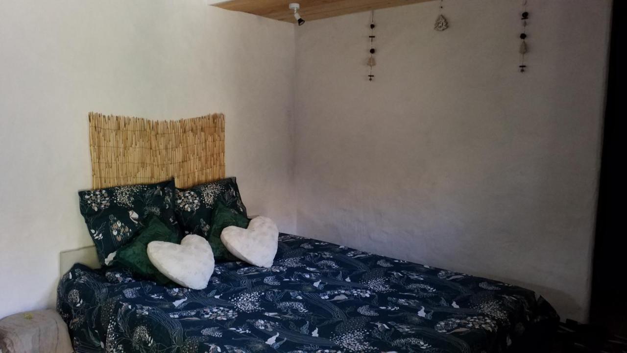 Le Petit Nid Bed & Breakfast Sablieres ภายนอก รูปภาพ