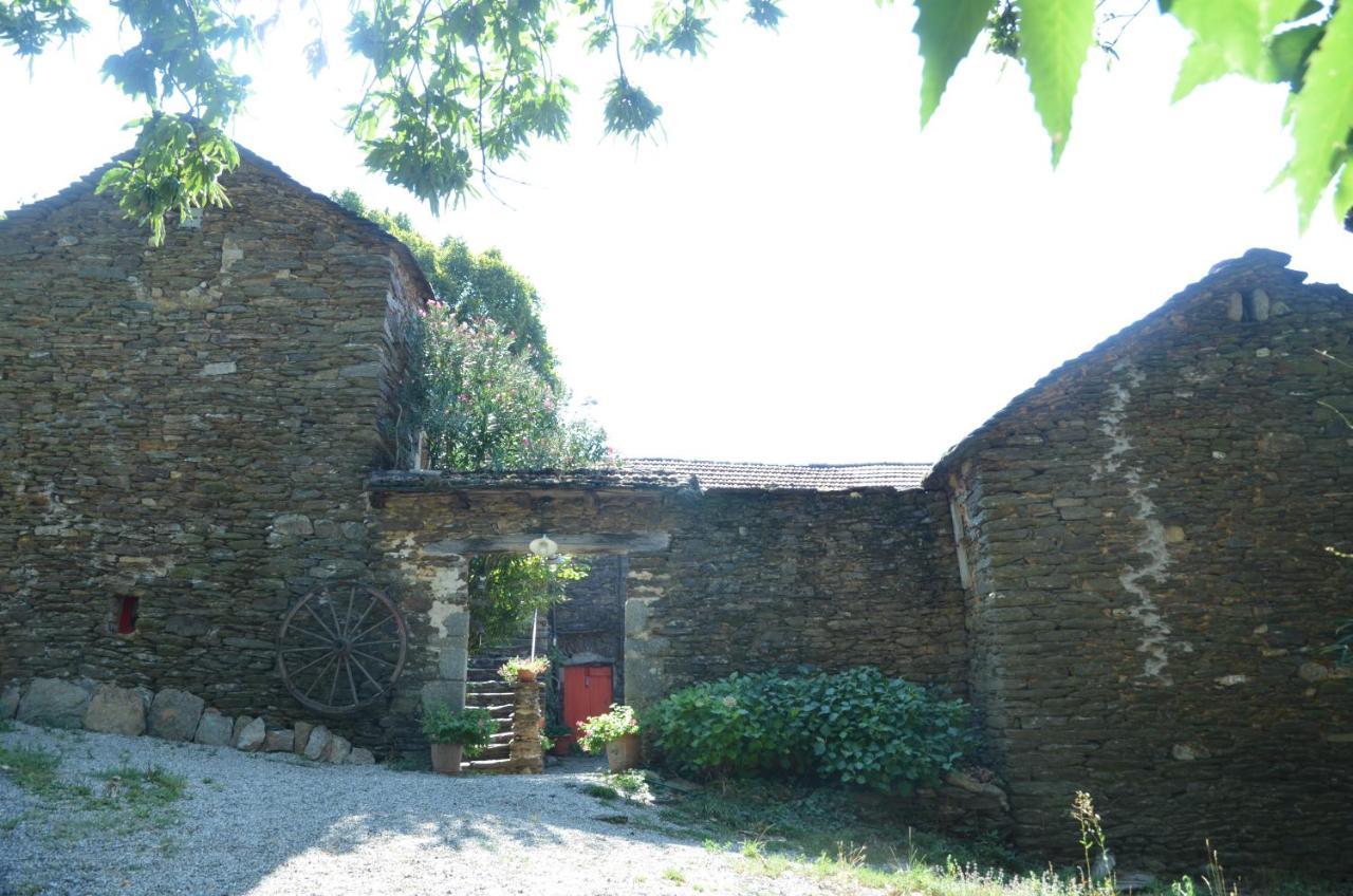 Le Petit Nid Bed & Breakfast Sablieres ภายนอก รูปภาพ