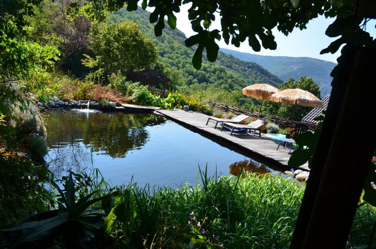 Le Petit Nid Bed & Breakfast Sablieres ภายนอก รูปภาพ